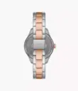 Fossil Women's
Rye Multifunction Two-Tone Stainless Steel Watch