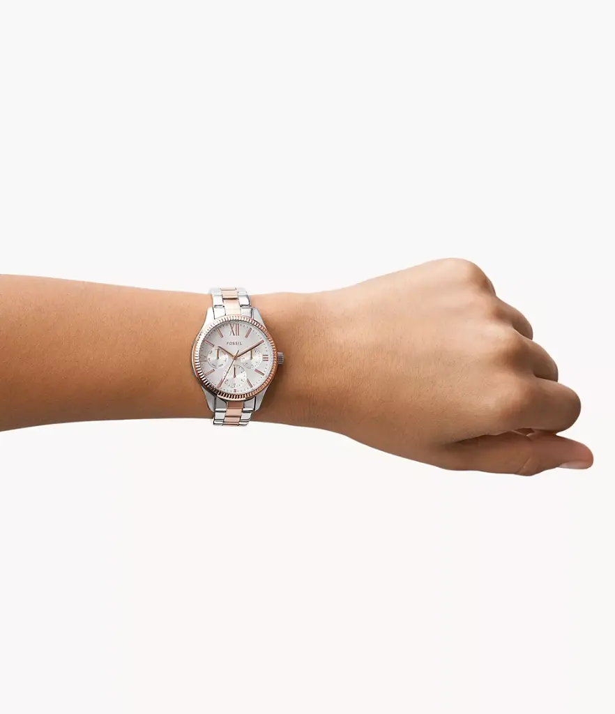 Fossil Women's
Rye Multifunction Two-Tone Stainless Steel Watch
